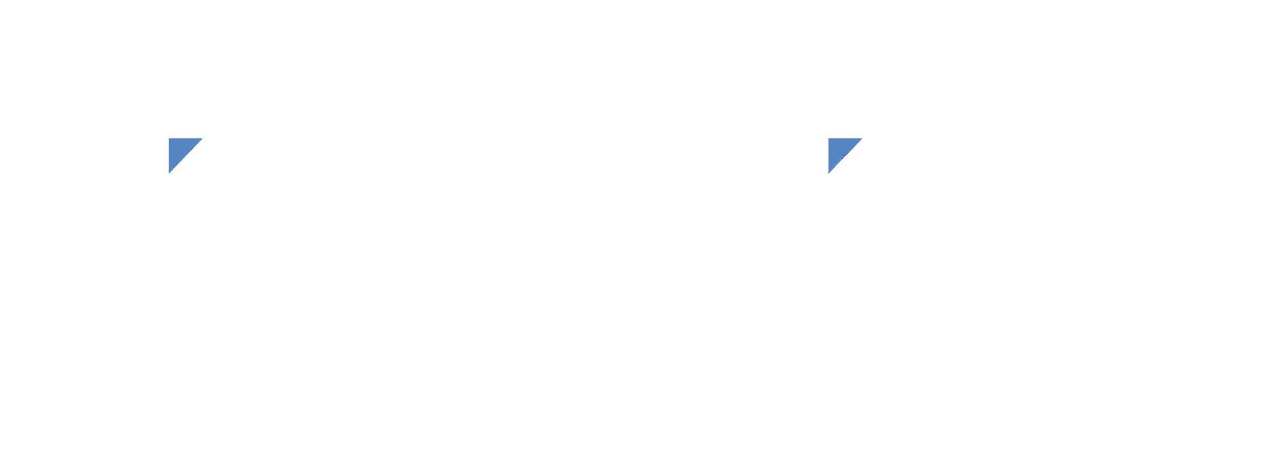 Logo Footer