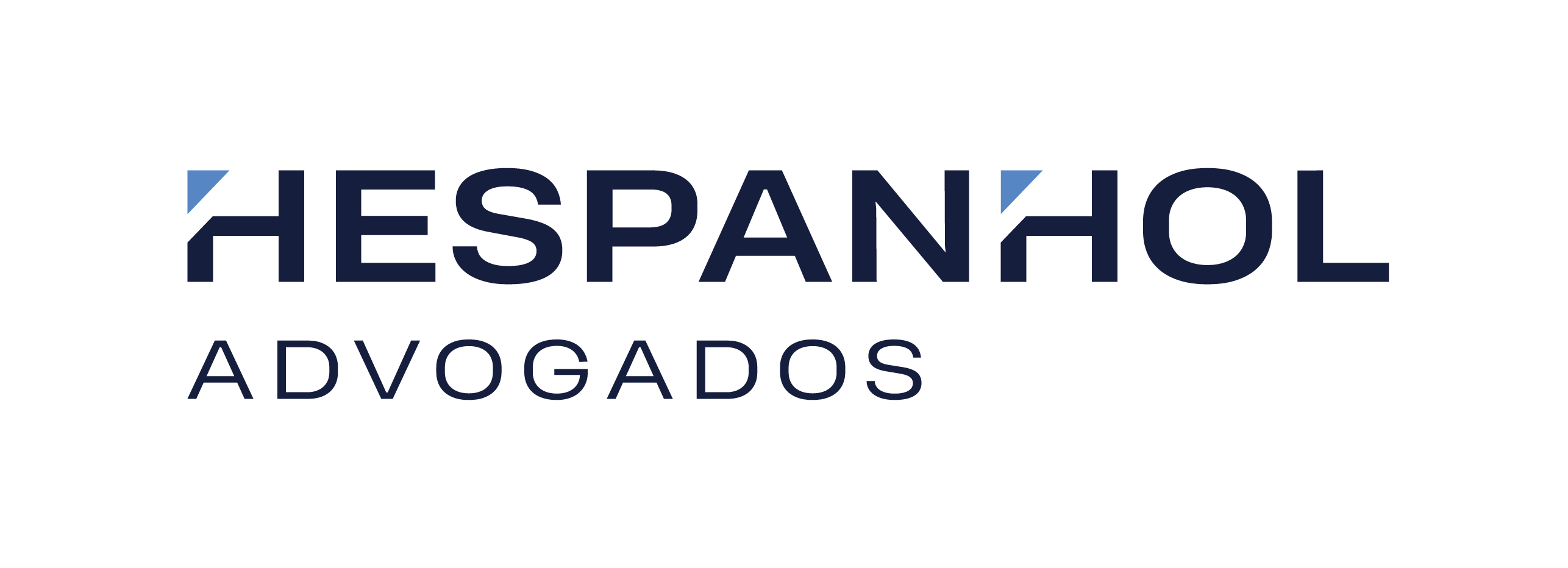 Logo Footer